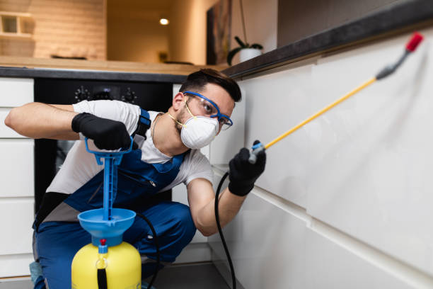 Best Flea Control Services  in Coker, AL