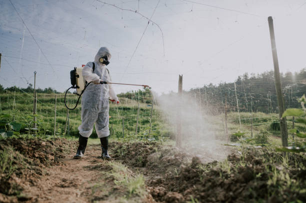 Best Pest Control for Homes  in Coker, AL