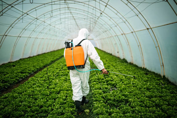 Best Best Pest Control Companies  in Coker, AL