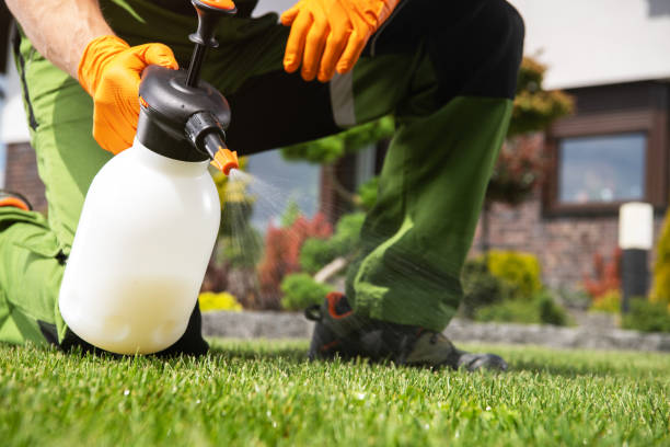 Best Affordable Pest Control Services  in Coker, AL