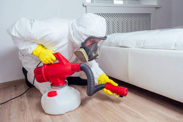 Best Wasp Removal Services  in Coker, AL