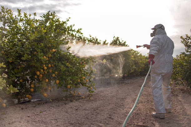 Best Pest Inspection Near Me  in Coker, AL