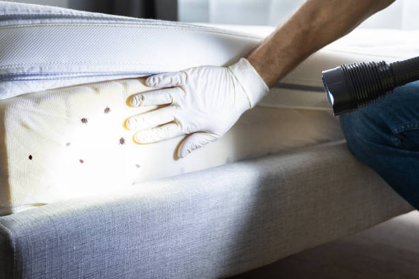 Reliable Coker, AL Pest Control Solutions