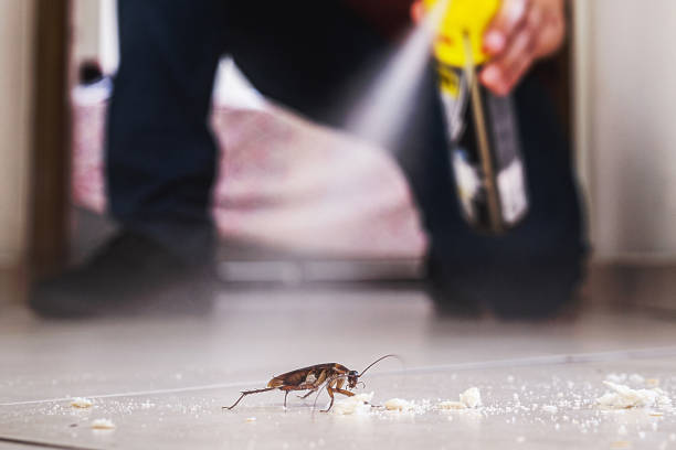 Best Pest Removal Services  in Coker, AL